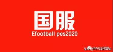 网易全年爆料新闻最新版